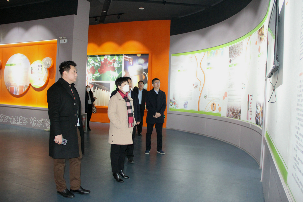 日照市副市長張金梅來潔晶集團調研 日照市副市長張金梅來潔晶集團調研